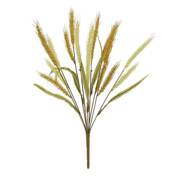 Ashland Toast Wheat Bush