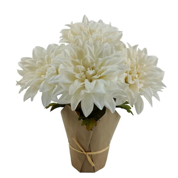Ashland Potted Dahlia