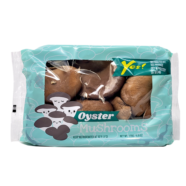 Produce - Mushroom Oyster - 5.9oz/24ct