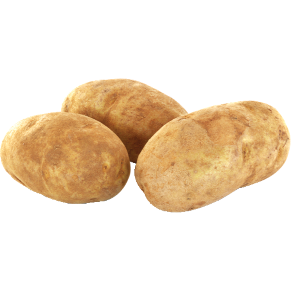 Organic Russet Potato