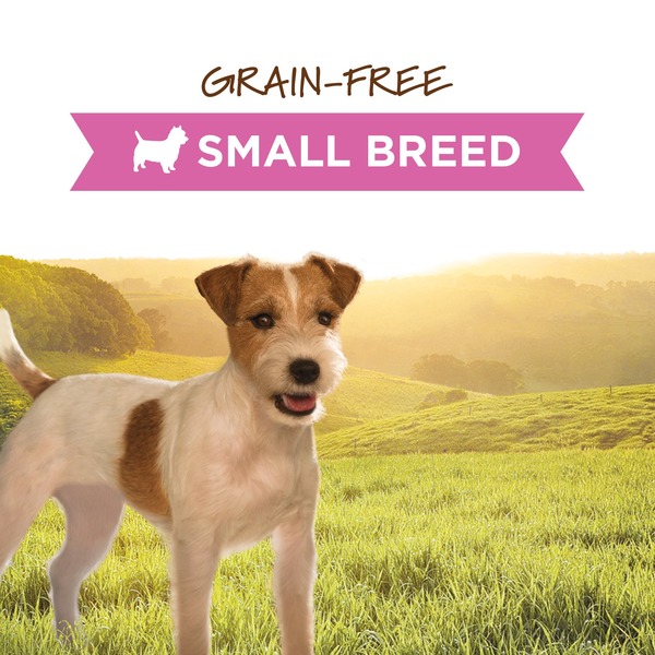 Instinct Original Small Breed Real Rabbit Recipe GrainFree Wet Dog