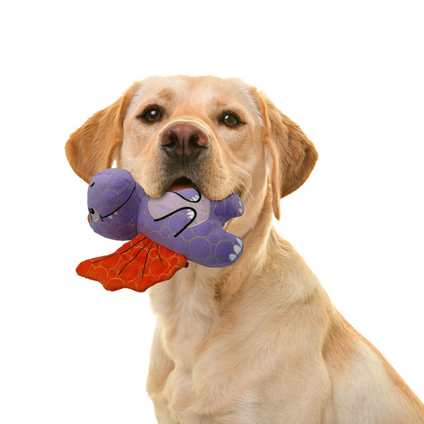 GMASON Pterodactyl Squeaker Crinkle Plush Dog Toy, Medium - Blue