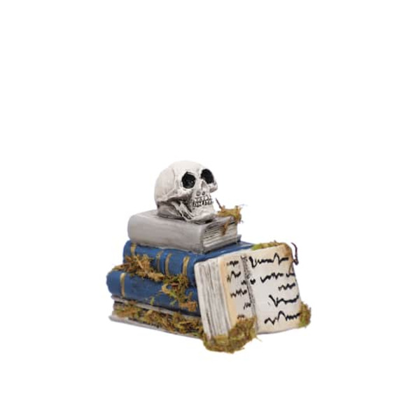 Ashland Mini Skull on Book Figurine