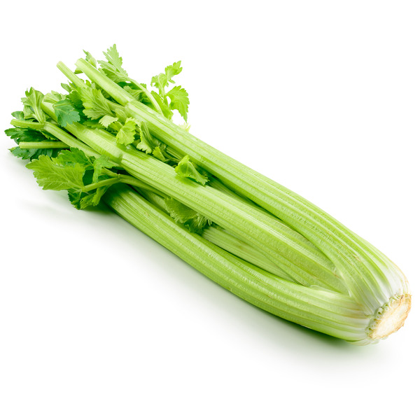 Celery