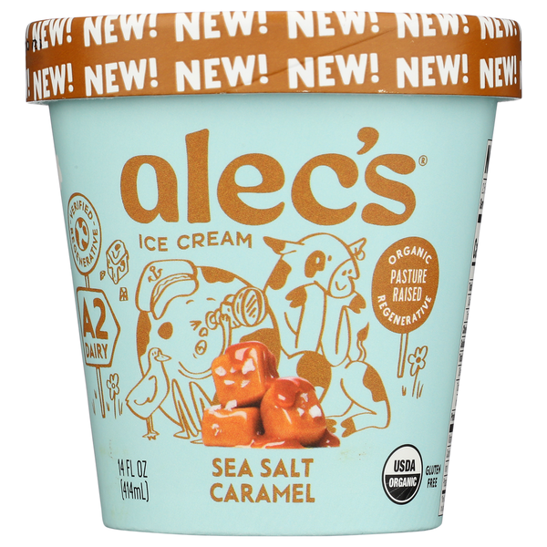 JJJ様　スイカアイス　ali alec's ice cream Sea Salt Caramel, A2 Dairy Same-Day Delivery or