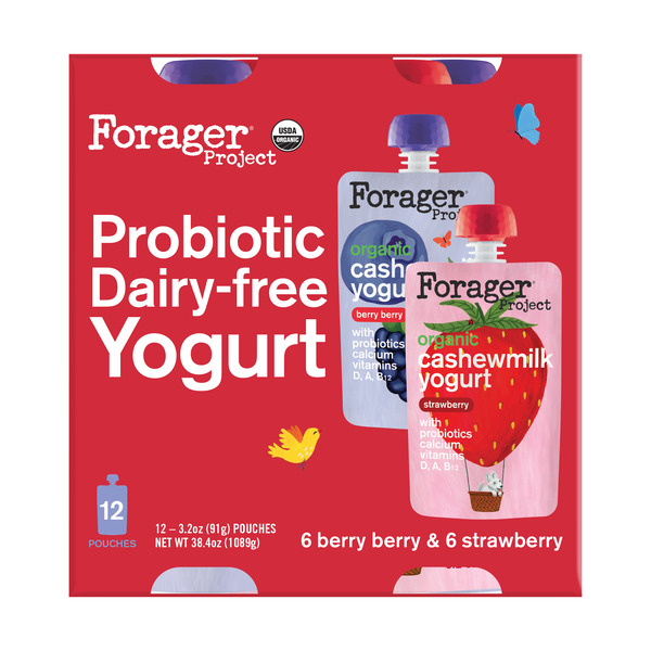 Costco Forager Project Organic Cashew Milk Yogurt in Pouch SameDay