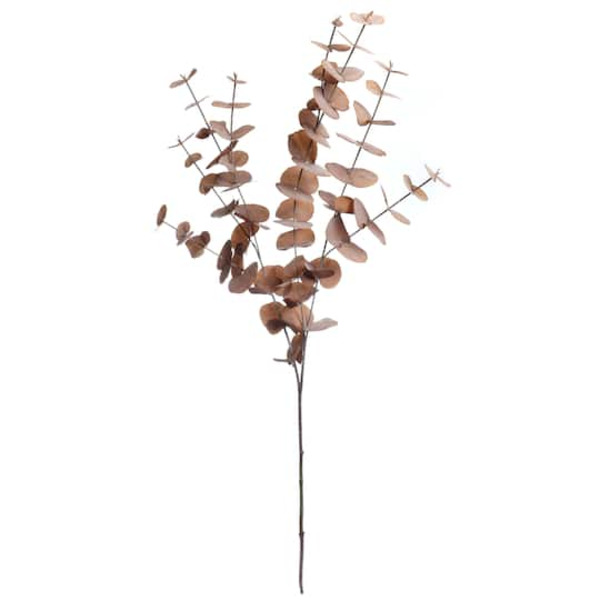 Ashland Brown Eucalyptus Stem