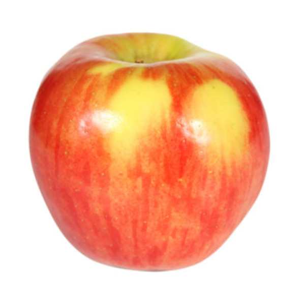 Autumn Glory Euro Apples