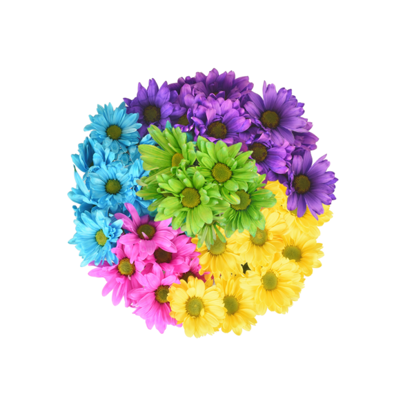 Central Market Crazy Daisy! Same-Day Delivery or Pickup | Market