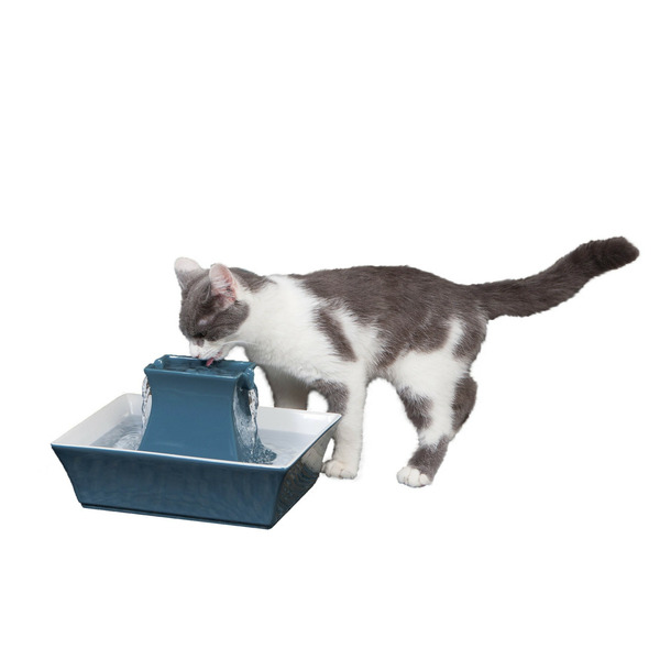 PetSafe Drinkwell Pagoda Pet Fountain, Himalayan Blue