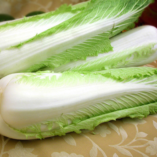 Napa Cabbage
