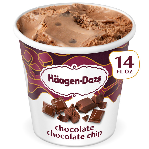 Haagen-Dazs Chocolate Chocolate Chip Ice Cream Same-Day Delivery