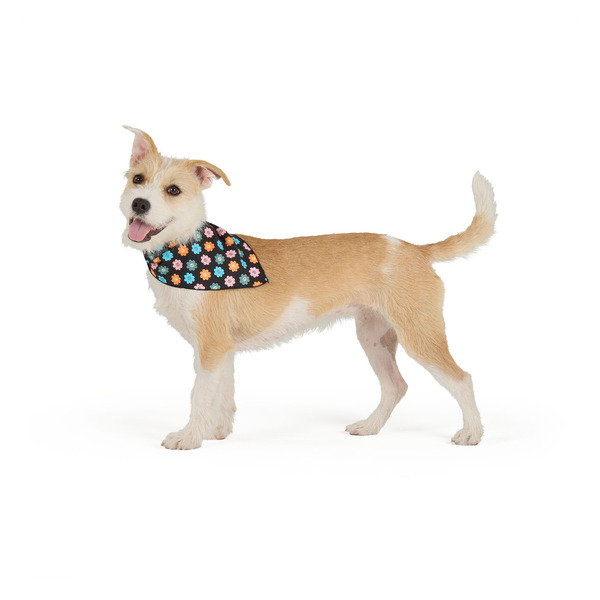 Thrills & Chills Flowers Dog Bandana, L
