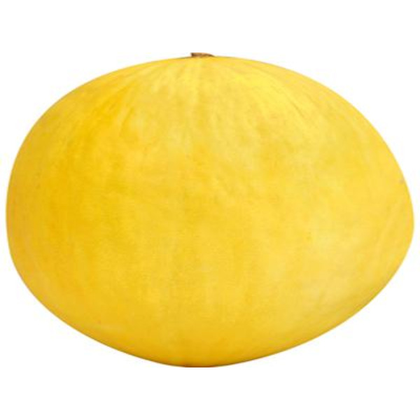 Honeydew Melon