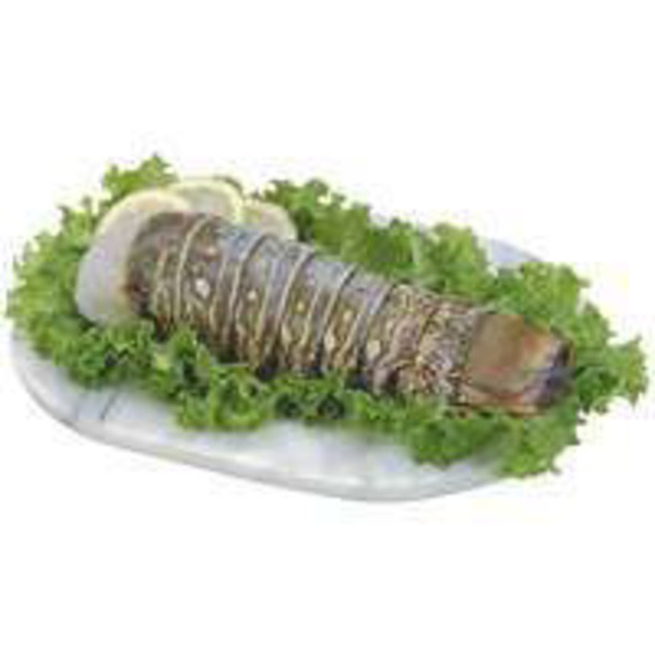 8-10 Ounce Frozen Raw Lobster Tail