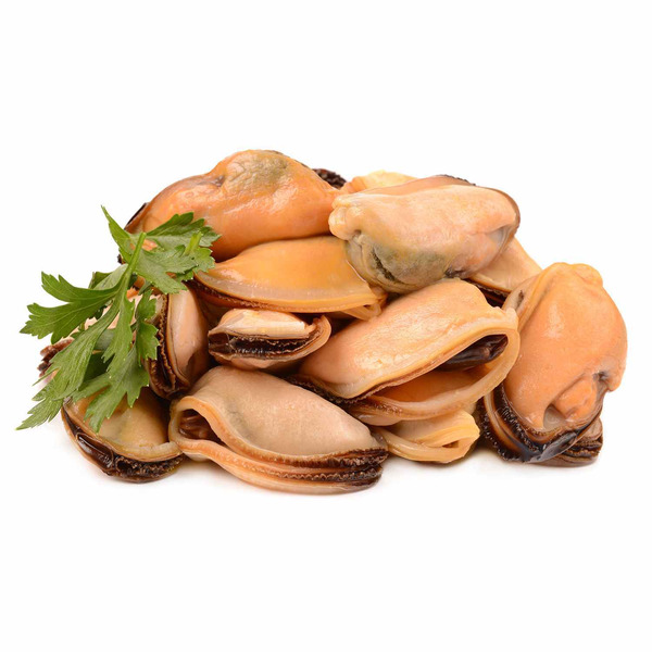 Mussel Meat
