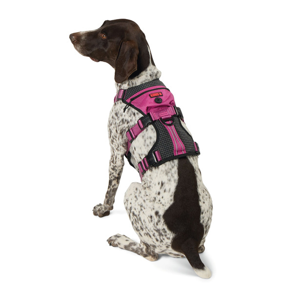 Kong Safety Dog Harness, Small - Pink