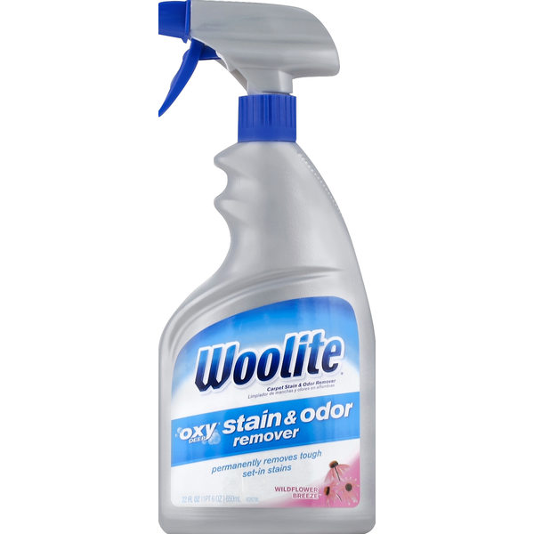 Woolite Stain & Odor Remover, Wildflower Breeze (22 oz) Instacart