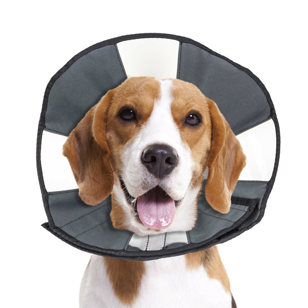 Zen Pet ProCone M Soft Recovery Collar