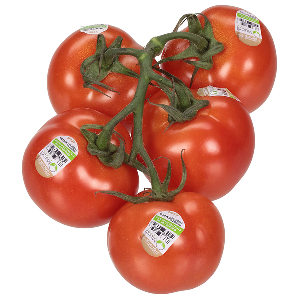 Mucci Farms Tomatoes, on the Vine, Red, Bulk Same-Day Delivery or