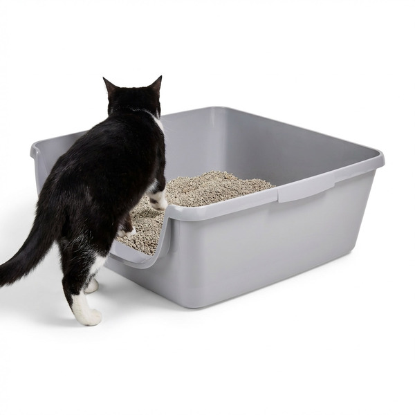 So Phresh Low Entry Senior Cat Litter Pan, 15.5 x 19 x 5 in - Grey