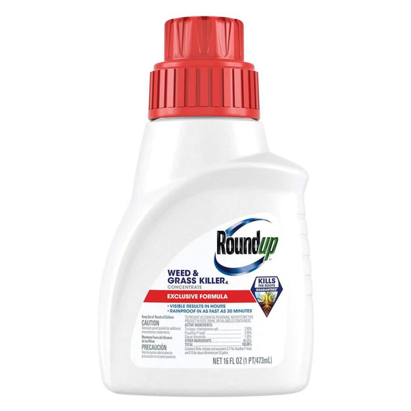 Roundup 16 Fl. Oz. Weed And Grass Killer Concentrate, Use In And Around Flower Beds, Walkways And Other Areas Of Your Yard