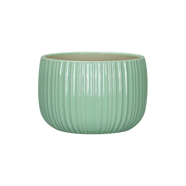 allen + roth 6.89-in W x 6.89-in L x 5.28-in H Aloe Plastic Round Indoor Planter
