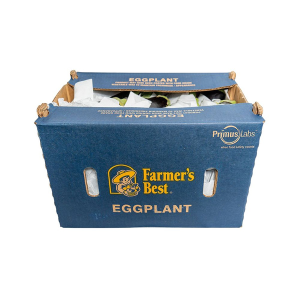 Eggplant - 24 ct