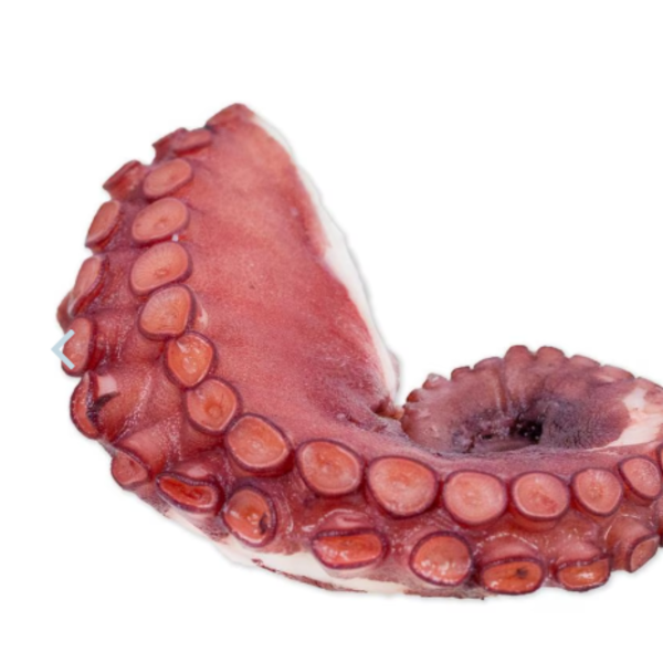 Cooked Octopus Legs 1.1 lb