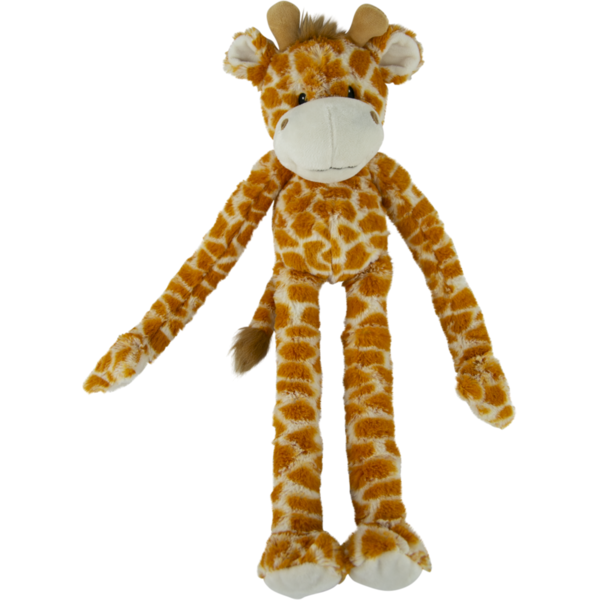 Play On Assorted Swingin Safari Plush Dog Toy