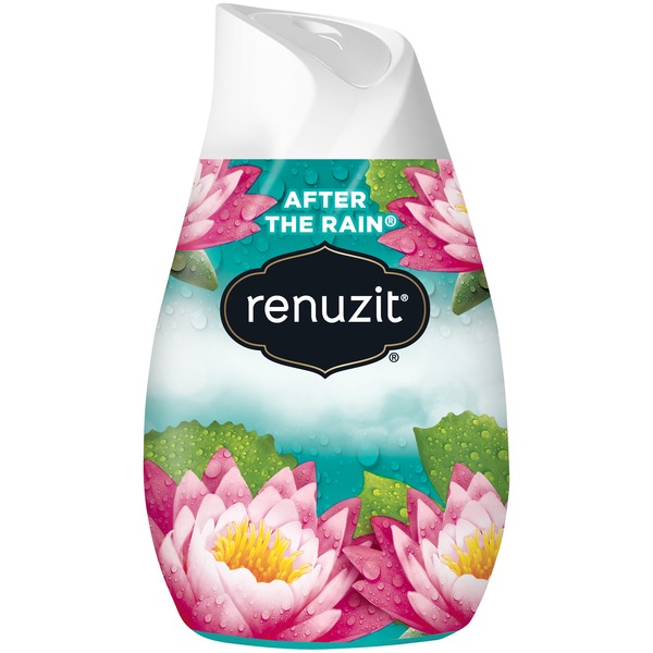 Renuzit Solid Gel Air Freshener Cone, After the Rain (7 oz) Instacart