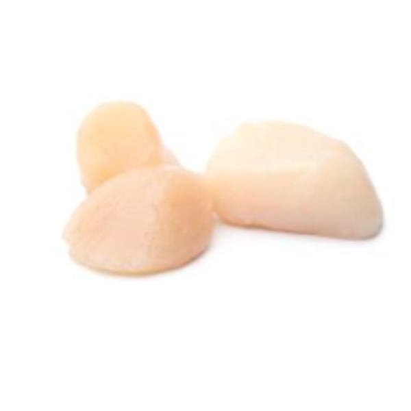 Scallop 60/80 Bay 5lb