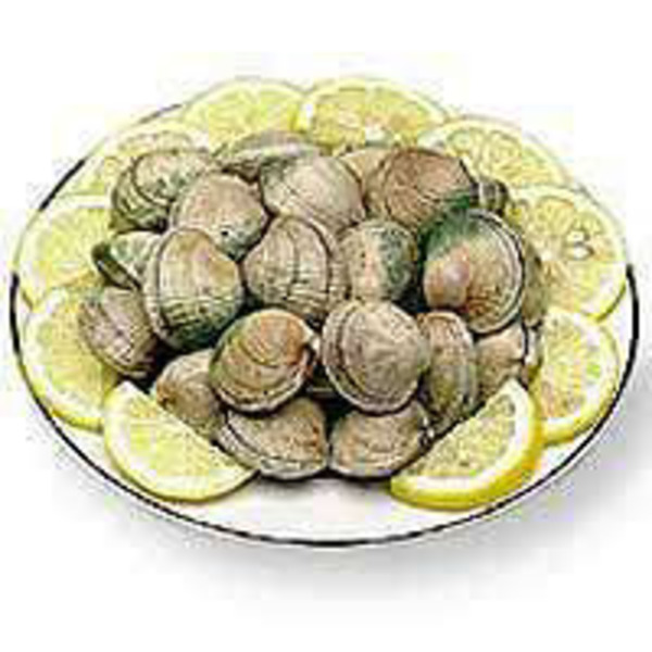Farmed Live Steamer Clam