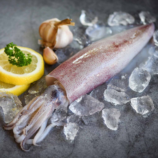 Individual Quick Frozen Squid
