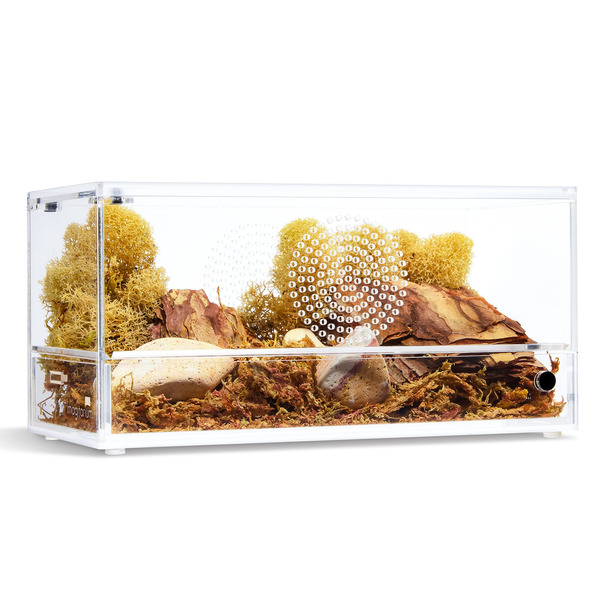Imagitarium Acrylic Reptile Terrarium, 4 x 8 x 4 in