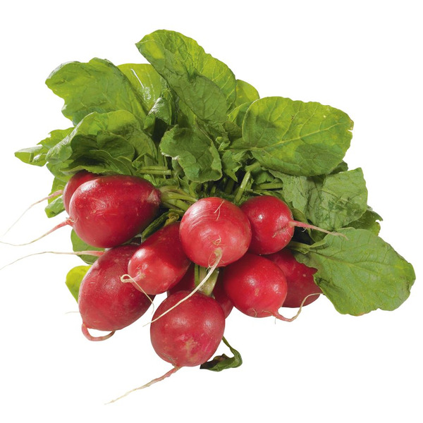 Radish