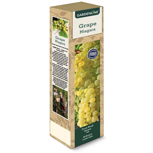 Gardenline Niagara/Catawba Grape Same-Day Delivery or Pickup | ALDI