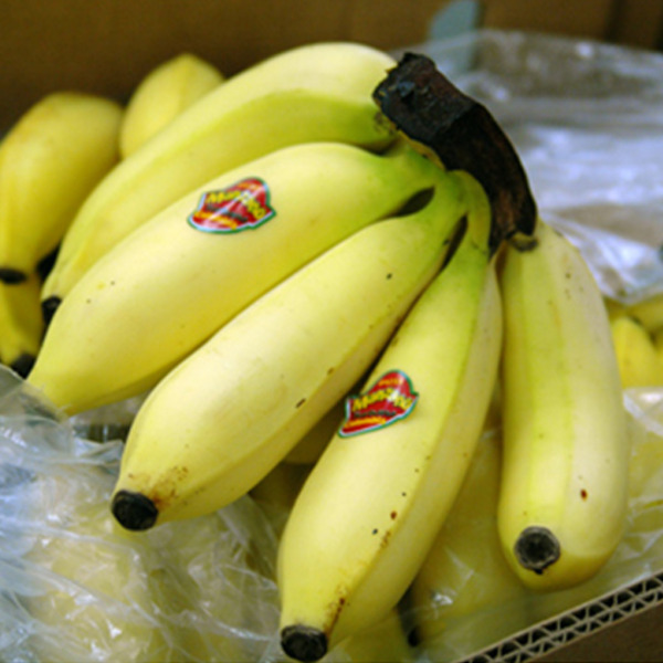 Manzano Banana