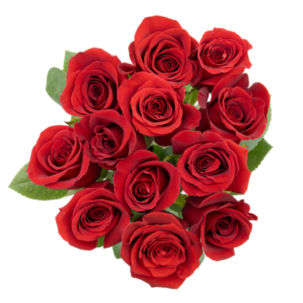 Red Roses Batch Dozen Red Rose Bunch Same-Day Delivery or Pickup | Sprouts Farmers Market
