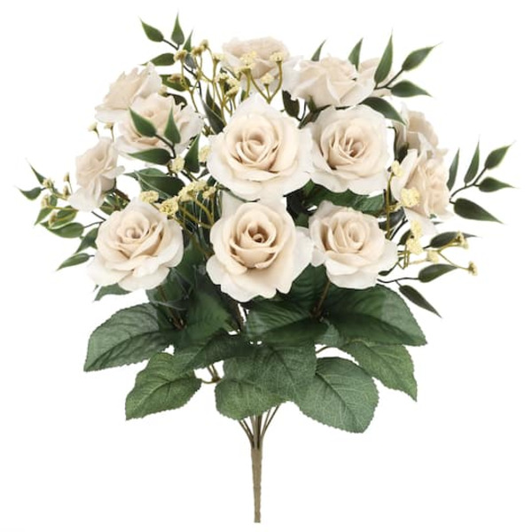 Ashland Dusty Blush Rose Bush