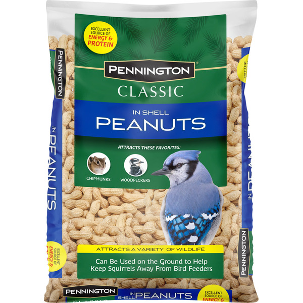 Pennington In Shell Peanuts for Birds and Squirrels 5-lb