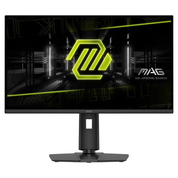 MSI MAG Gaming Monitor 27 in
