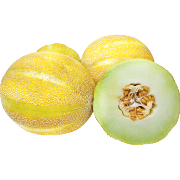 Lemon Drop Melon