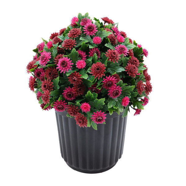 Naturae Decor 11.81-in Burgundy Indoor Desktop Artificial Plant