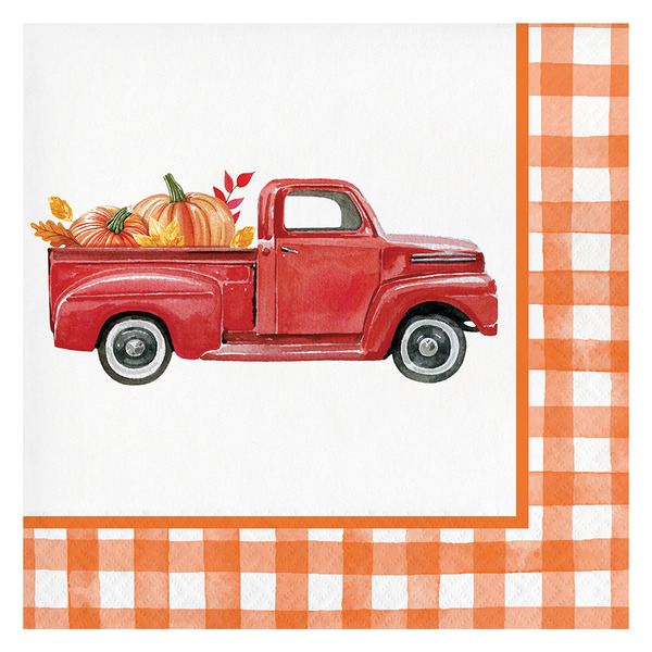 ALDI Boulder Fall Lunch Napkins SameDay Delivery or Pickup Instacart