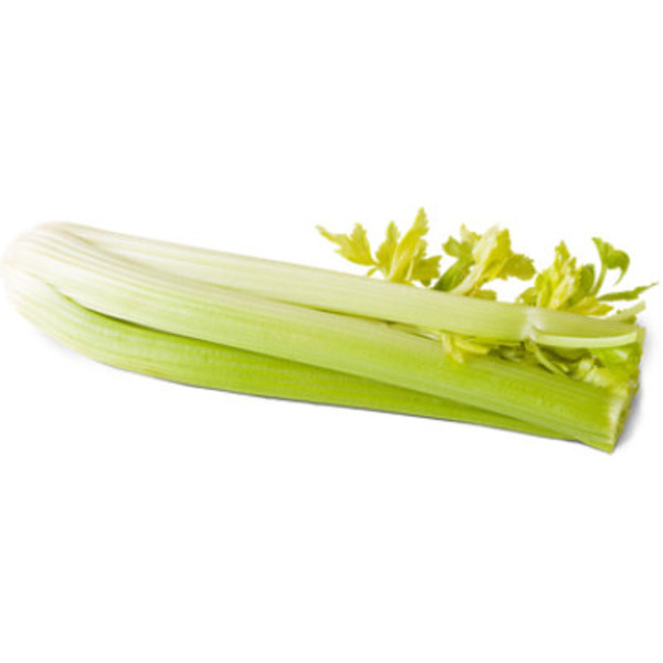 Fresh Picked Celery