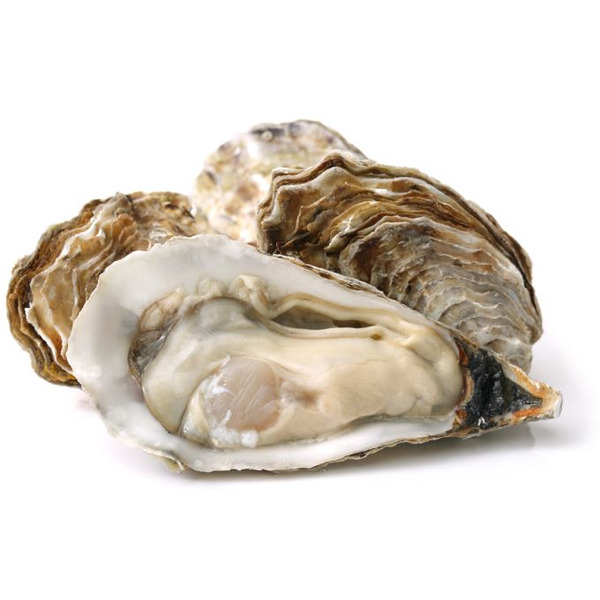 Chesapeake Oysters, 50 ct, wild caught, USA