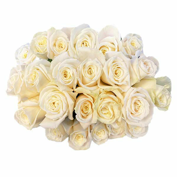Wegmans Roses Wegmans Wegmans Long Stem Roses - White Same-Day Delivery or Pickup ...