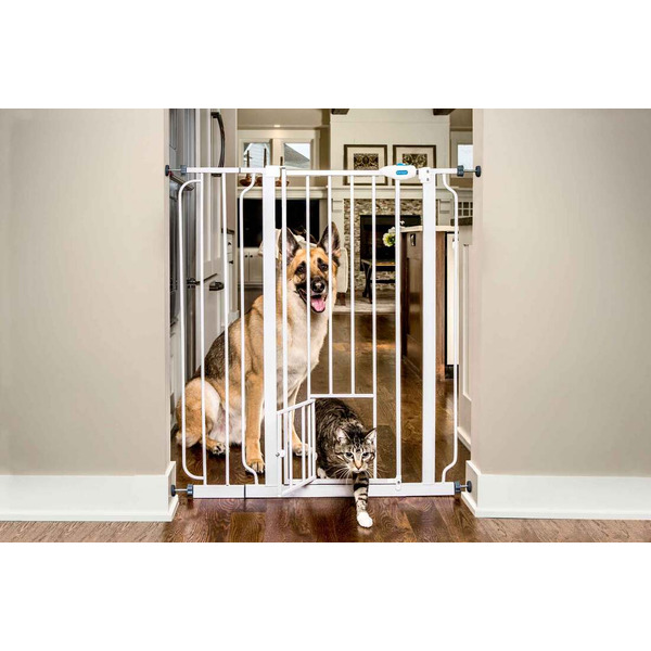 Carlson Walk-Thru Gate With Pet Door, Extra Tall