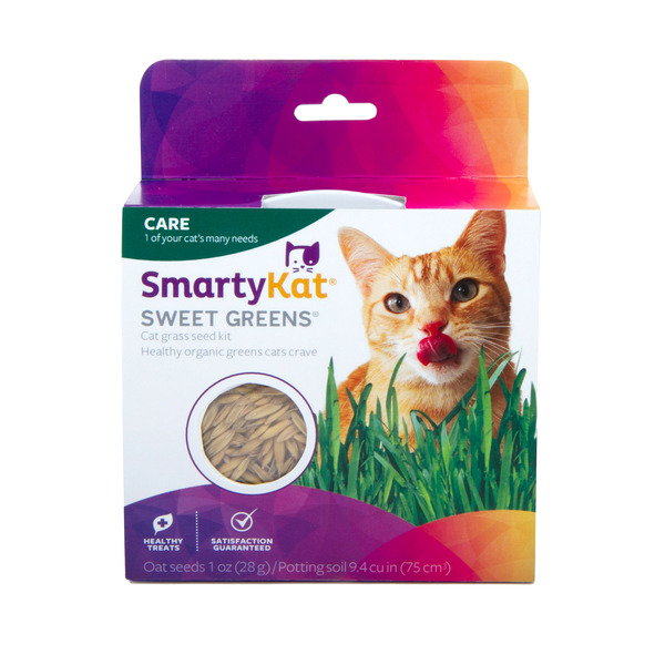 Smarty Kat Cat Grass Kit